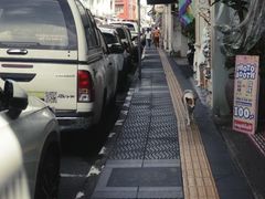 -普吉镇