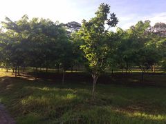 -广东外语外贸大学(白云山校区)