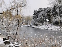-近春园遗址