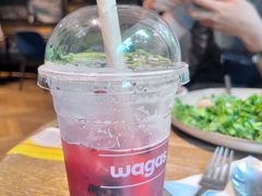 -Wagas沃歌斯(大学路店)