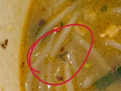-沈记土鸡米线(七星街品牌中心店)