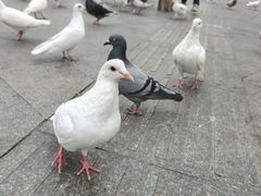 -万达广场(广州番禺店)