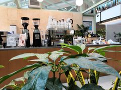 -Seesaw Coffee(上海太阳宫K46店)