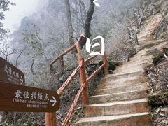 -金子山原生态旅游风景区