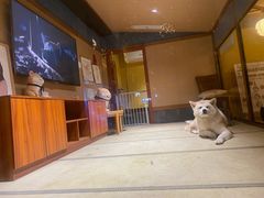 -大江户·温泉洗浴(浑南店)