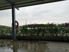 -国际邮轮中心码头(厦鼓码头)