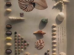-重庆欢乐海底世界