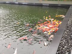 -太子园林酒家