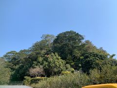 -白云山风景名胜区