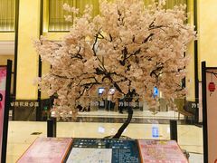 -嘉悦汗蒸时代(曙光路店)