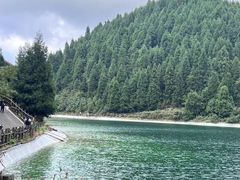 -武陵山森林公园