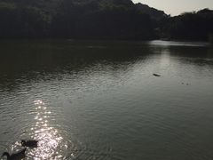 -厦门悦华酒店
