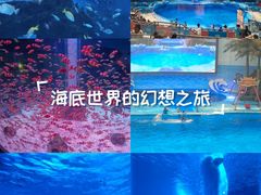 -海合安成都极地海洋公园