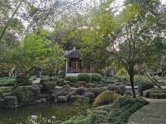 -秋霞圃