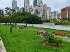 -九龙公园