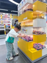 -乐高品牌旗舰店(人民广场店)