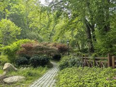 -素山寺森林公园