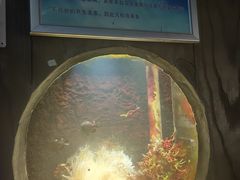 -嘉兴海底世界