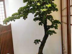 -千寻山野烤肉(中关村店)