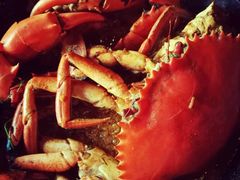 -Ministry of Crab(科伦坡店)