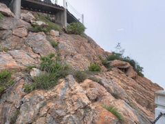 -石老人观光园