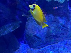 -沈阳海洋探索中心