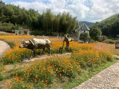 -宁波浙东大竹海景区