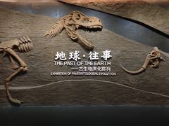 -柳州白莲洞洞穴科学博物馆