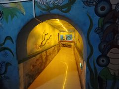 -东方巨龟苑景区