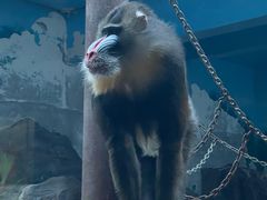 -鄂尔多斯野生动物园