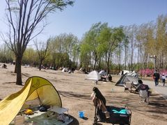 -东郊湿地公园