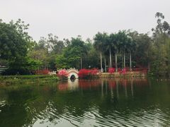 -星湖旅游景区七星岩