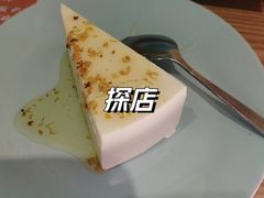 -古树酸奶(八廓南街店)