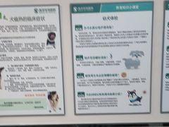-瑞派紫金宠物医院24小时·骨科·中兽医·重症转诊中心(番禺大石院)