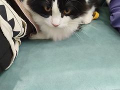 -博特宠物医院24h犬猫全科.骨科·异宠