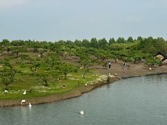 -乌村