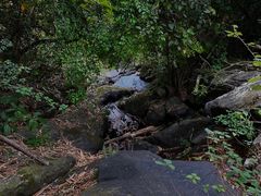 -梧桐山风景名胜区