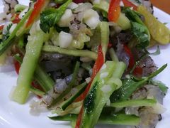 -全乐鱼馆·淳牌有机鱼直营店