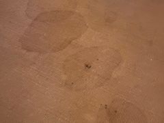 -菲拉拉漫温泉(东环路店)