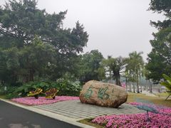 -南宁南湖公园