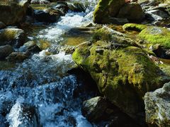 -秦岭终南山世界地质公园翠华山景区