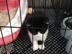 -SAH健身私教工作室(紫东店)