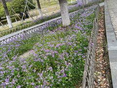 -白塘生态植物园
