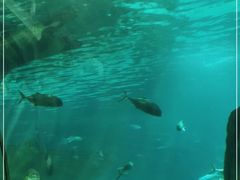 -福州罗源湾海洋世界旅游区