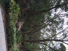 iphone_upload_pic-狐尾山公园