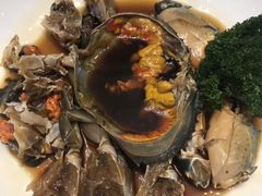 -席家花园(巨鹿花园店)