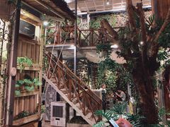 -Rainforest