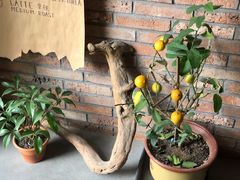 -春庄咖啡SpringHues(钟楼小区店)