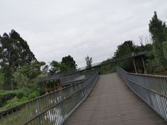 -白鹭湾湿地公园