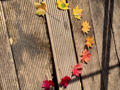 -丹东天桥沟景区